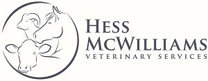 Hess McWilliams
